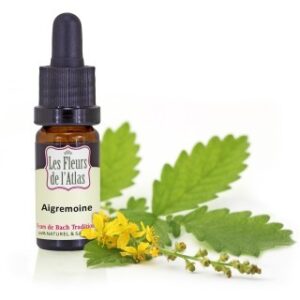 AGRIMONY - AIGREMOINE - Elixir Floral