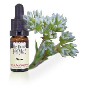 SCLERANTHUS - ALENE - Elixir Floral