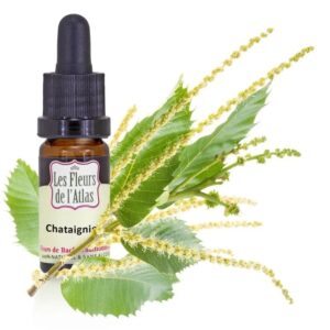 SWEET CHESTNUT - CHATAIGNIER - Elixir Floral