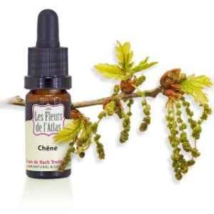 OAK - CHENE - Elixir Floral
