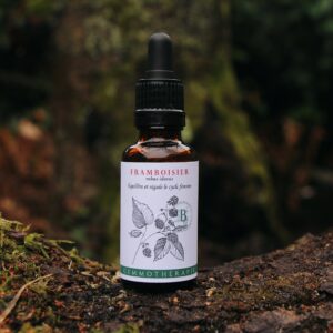 FRAMBOISIER - Macérat de Bourgeons  BIO
