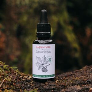 MARRONNIER - Macérat de Bourgeons BIO