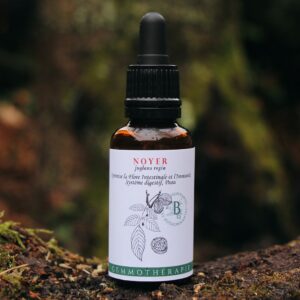 NOYER - Macérat de Bourgeons BIO