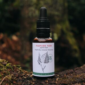 PEUPLIER NOIR - Macérat de Bourgeons BIO