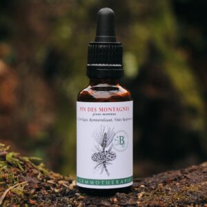 PIN DES MONTAGNES - Macérat de Bourgeons BIO