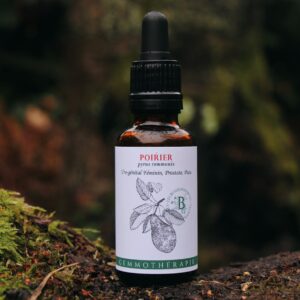 POIRIER - Macérat de Bourgeons BIO