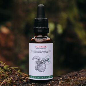 POMMIER - Macérat de Bourgeons BIO
