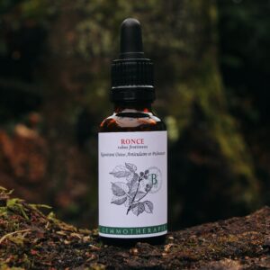 RONCE - Macérat de Bourgeons BIO