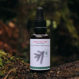 SAPIN PECTINE - Macérat de Bourgeons BIO