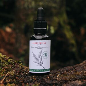 SAULE BLANC - Macérat de Bourgeons BIO