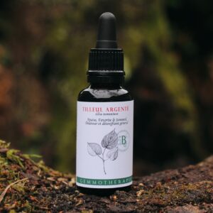 TILLEUL ARGENTE - Macérat de Bourgeons BIO