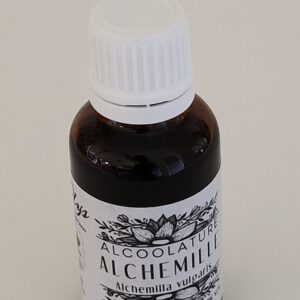 ALCHEMILLE - Extrait Hydro-alcoolique BIO