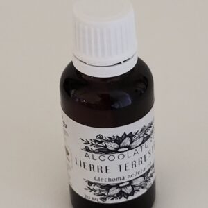 LIERRE TERRESTRE - Extrait Hydro-alcoolique BIO