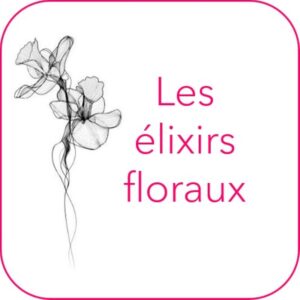 Les elixirs floraux