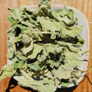 Guimauve feuilles