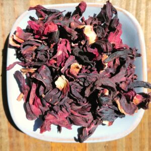 Hibiscus