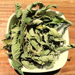 Verveine Odorante