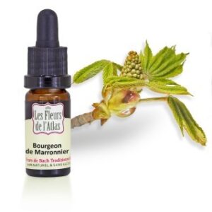CHESTNUT BUD - BOURGEON DE MARRONNIER - Elixir Floral