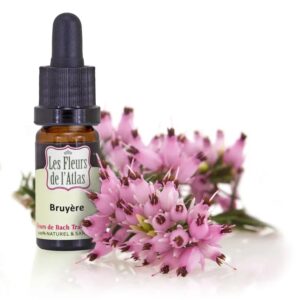 HEATHER - BRUYERE - Elixir Floral
