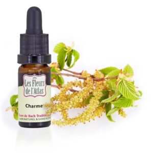 HORNBEAM - CHARME - Elixir Floral
