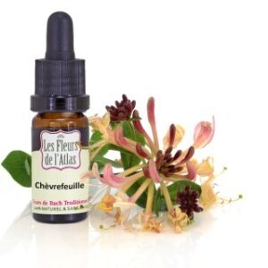 HONEYSUCKLE  - CHEVREFEUILLE - Elixir Floral