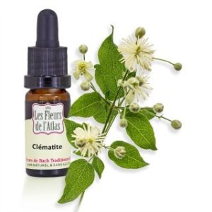 CLEMATIS  - CLEMATITE - Elixir Floral