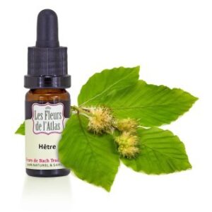 BEECH - HETRE - Elixir Floral