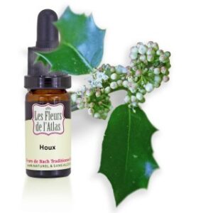 HOLLY - HOUX - Elixir Floral