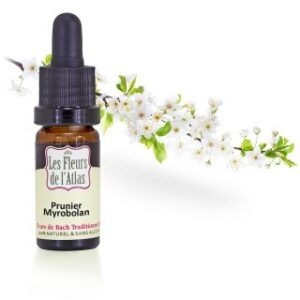 CHERRY PLUM  - PRUNIER - Elixir Floral