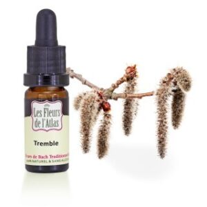 ASPEN - TREMBLE - Elixir Floral
