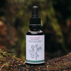 AMANDIER - Macérat de Bourgeons BIO