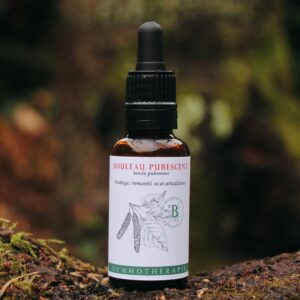 BOULEAU PUBESCENT - Macérat de Bourgeons BIO