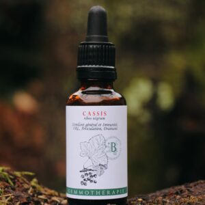 CASSIS - Macérat de Bourgeons BIO