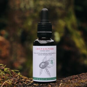 CHATAIGNIER - Macérat de Bourgeons BIO