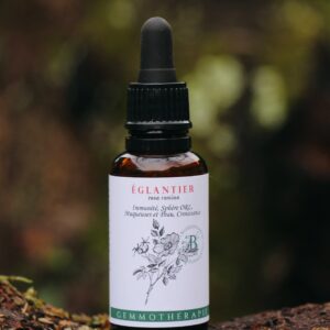 EGLANTIER - Macérat de Bourgeons BIO