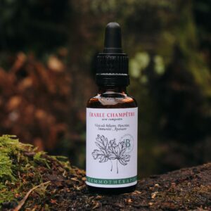 ERABLE CHAMPETRE - Macérat de Bourgeons BIO