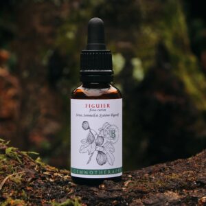 FIGUIER - Macérat de Bourgeons BIO