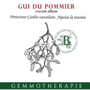 GUI DU POMMIER - Macérat de Bourgeons BIO