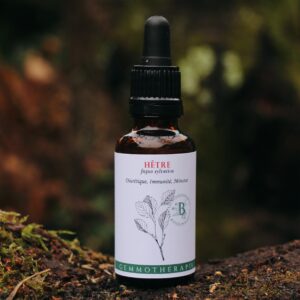 HETRE - Macérat de Bourgeons BIO