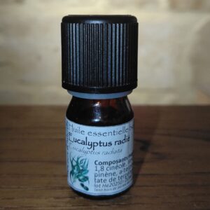 Eucalyptus radié BIO