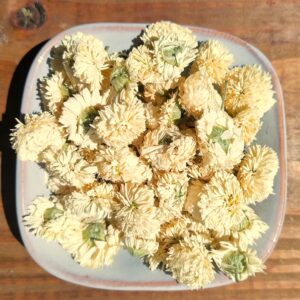 Camomille Romaine
