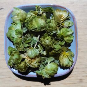 Houblon