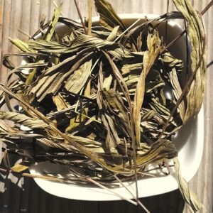Plantain